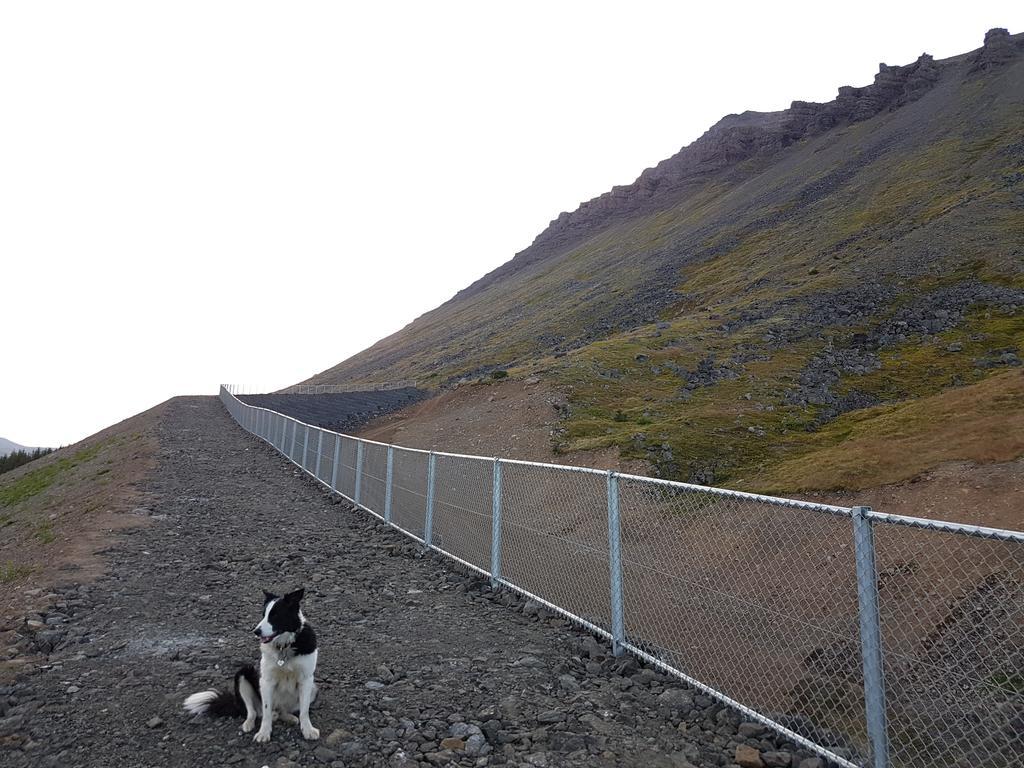 Sigurhaeth - Apartment With All Within Your Reach Ísafjörður Eksteriør bilde
